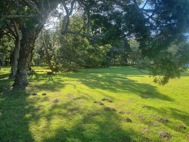 0 Bedroom Property for Sale in Brenton On Lake Western Cape